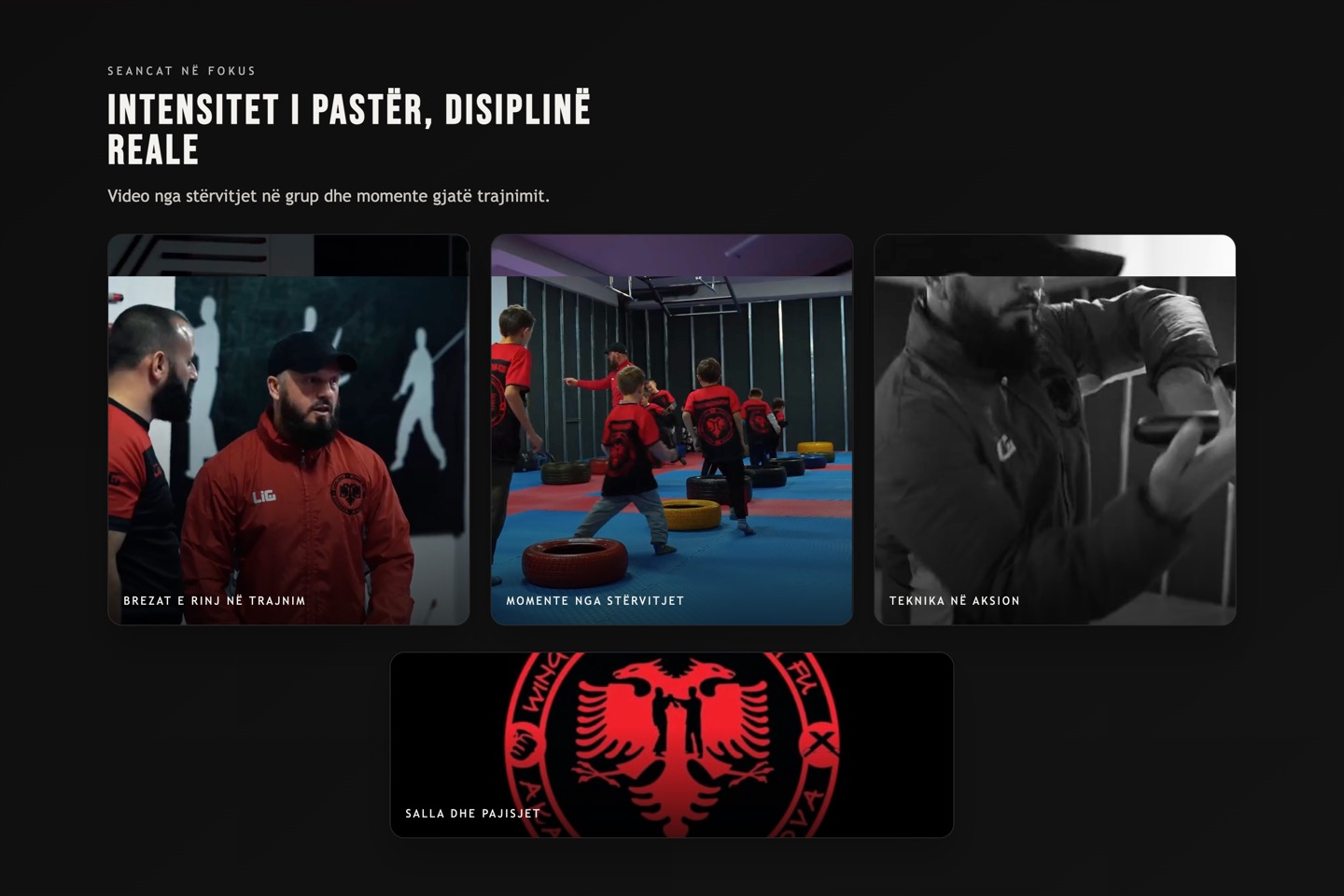 Wing Chun Kosova logo